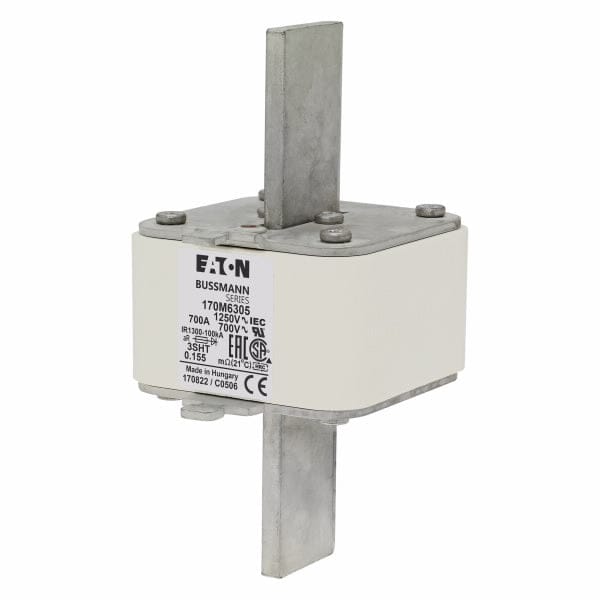 Bussmann Bussmann 170M6307 Fuses (2 Pieces)