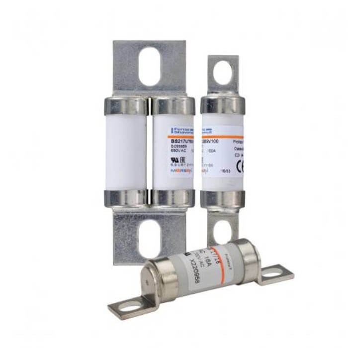 Mersen Mersen M075911 - BS217UT69V75P Fuses (2 Pieces)