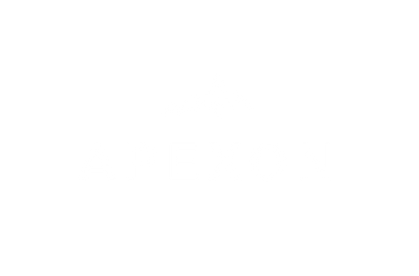 Apexon Solutions LLC