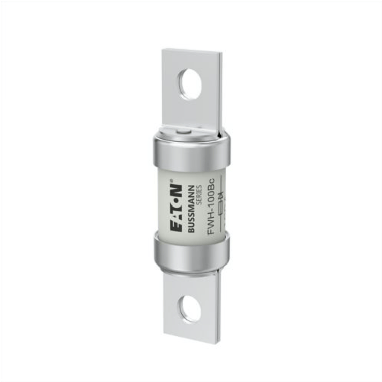 Bussmann Bussmann FWH-100Bc 100A 500V Fuses (3 Pieces)