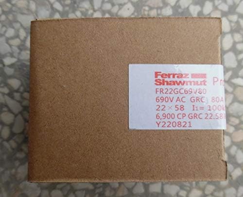 Ferraz Shawmut FR22GC69V100 10pcs Ferraz Shawmut FR22GC69V100 W220911 Fuses