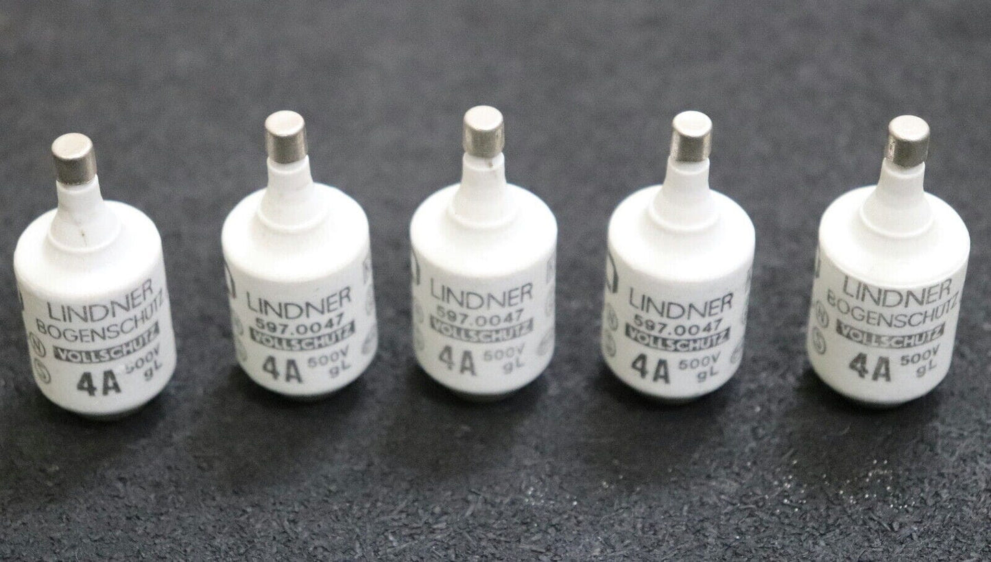 LINDNER 10A 5pcs LINDNER DIAZED Type Fuse Link DII 10A 500V gG/gL 597.0107 Fuses