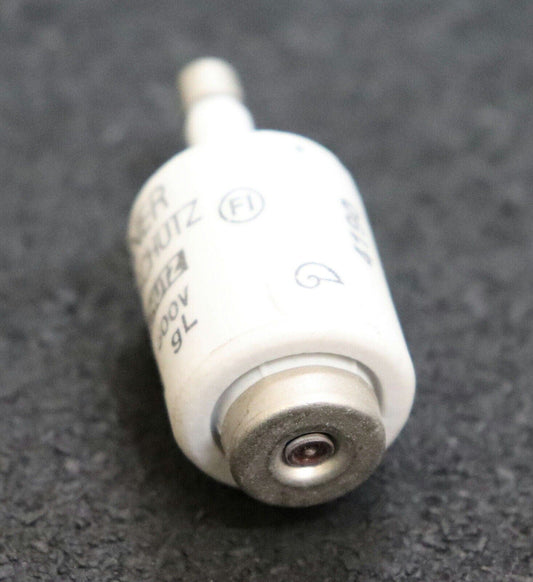 LINDNER 6A 5pcs LINDNER DIAZED Type Fuse Link DII 6A 500V gG/gL 597.0067 Fuses