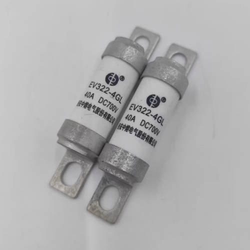 SINOFUSE SINOFUSE EV322-4GL 63A 700VDC Fuses (10 Pieces)