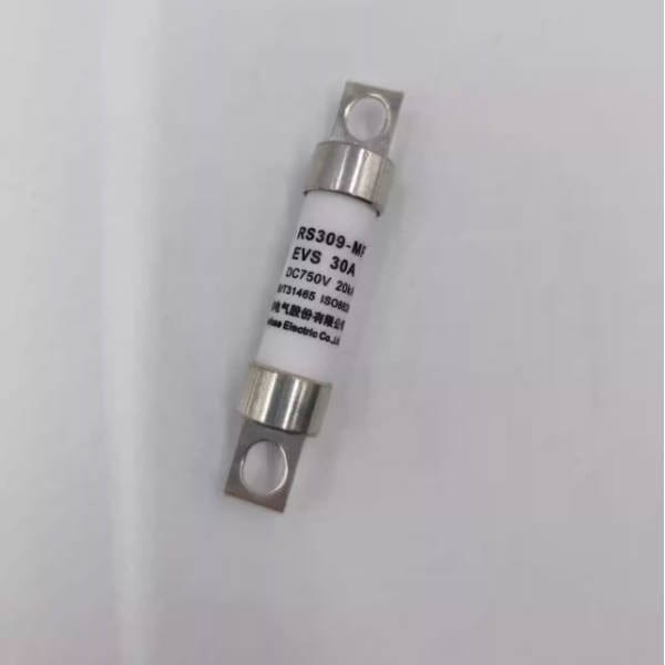 SINOFUSE SINOFUSE RS309-MF-EVS 30A 750VDC Fuses (10 Pieces)