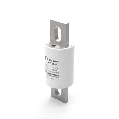 SINOFUSE SINOFUSE RS309-MM 100A  Fuses (3 Pieces)