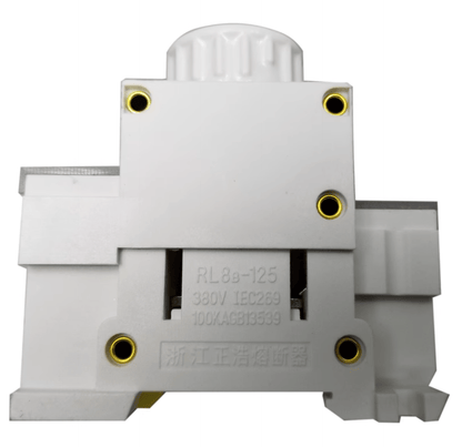 ZHENGRONG RL8B-125/RL98-125 10pcs ZHENGRONG RL8B-125 RL98-125 125A 380V D03 ( For RO26 80A 100A 125A D03 fuse )