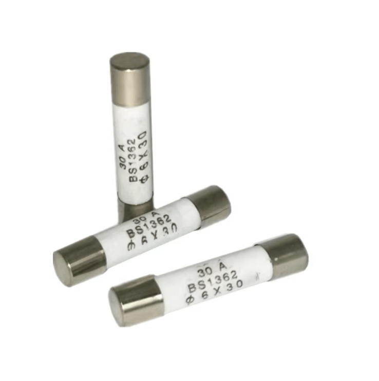 ZHENGRONG RO55 RS55 10A 250V 100pcs ZHENGRONG RO55 RS55 10A 250V 5*25 gG Fuses